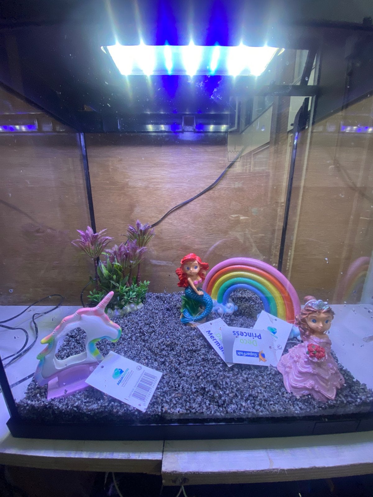 ** Leuke Aqauriums **. 😃, Dieren en Toebehoren, Ophalen, Zo goed als nieuw, Leeg aquarium, Superfish
