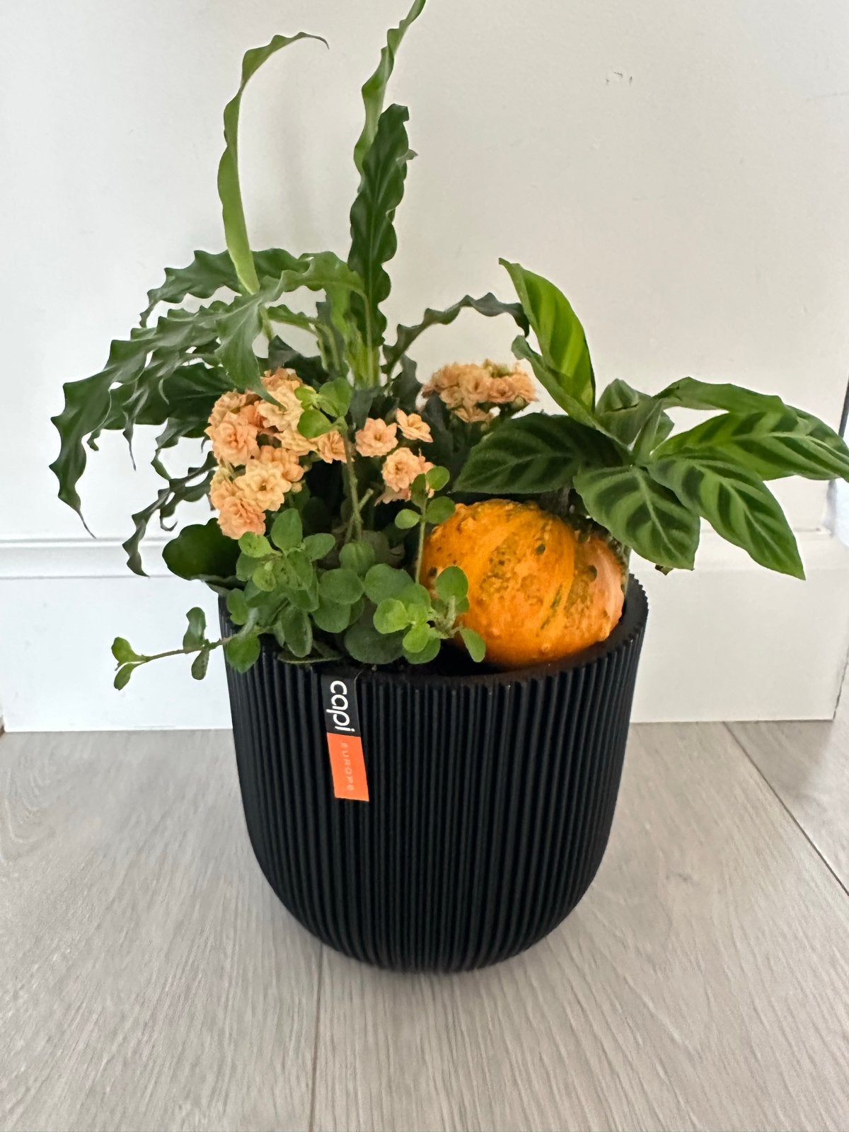 Capi Europe bloempot met planten en pompoen, Kunststof, Minder dan 60 cm, Rond, Ophalen of Verzenden