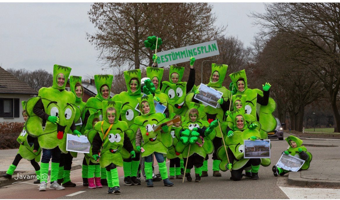Loopgroep carnaval, Ophalen of Verzenden, Zo goed als nieuw, Maat 34 (XS) of kleiner, Carnaval