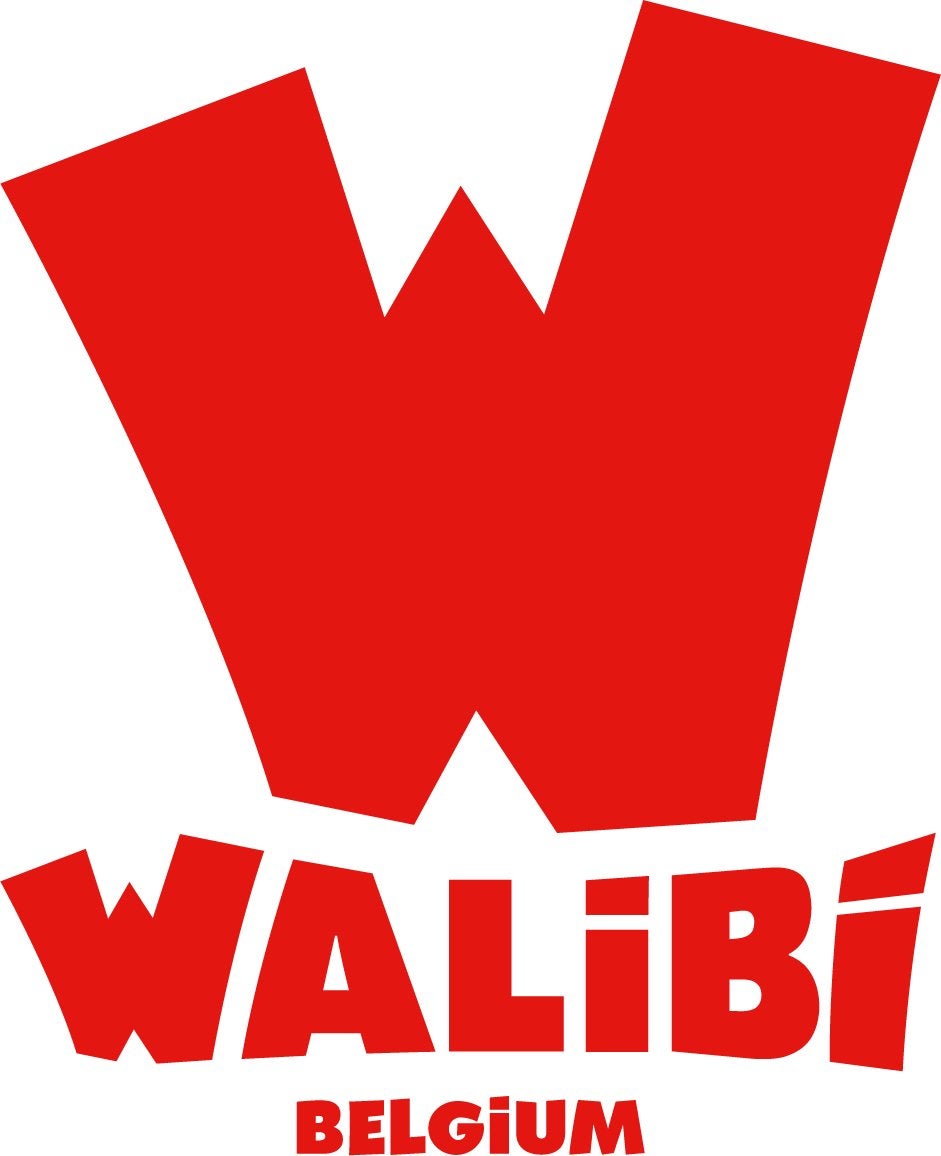 2 toegangskaartjes walibi Belgie VANDAAG, Tickets en Kaartjes, Twee personen, Ticket of Toegangskaart
