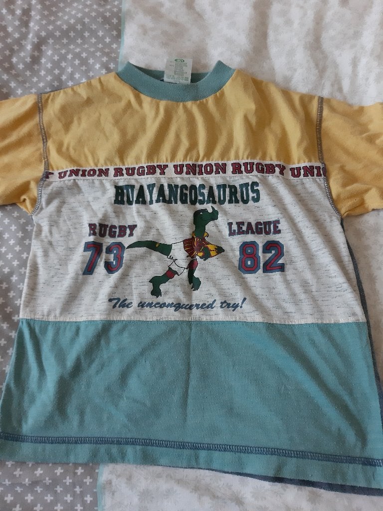 T-shirt dynosaurus, maat: 116., Ophalen of Verzenden, Gebruikt, Jongen, Shirt of Longsleeve