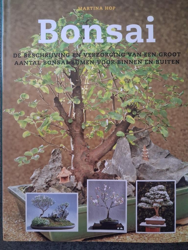 Marga Hop - Bonsai, Boeken, Bloemen, Planten en Bomen, Marga Hop, Nieuw, Ophalen of Verzenden