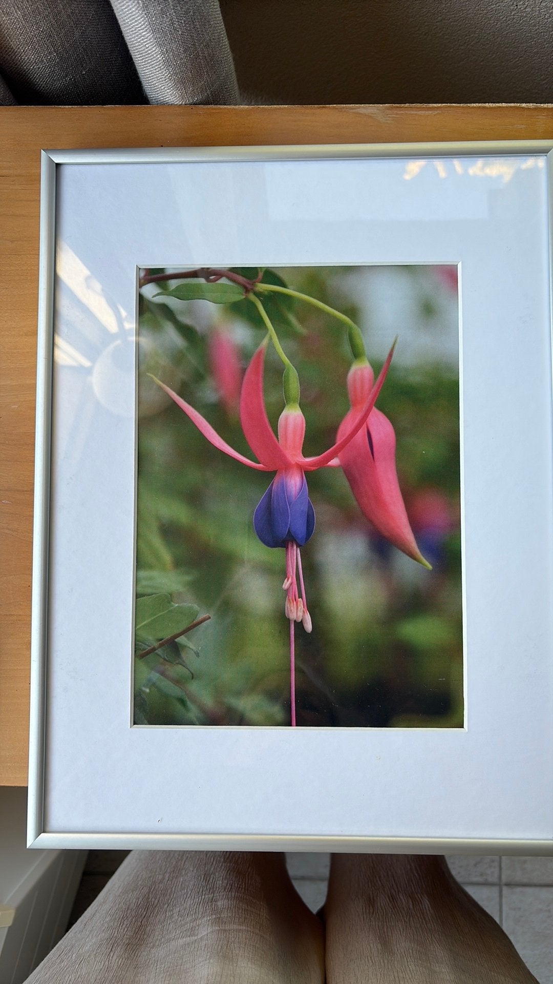 Mooie foto fuchsia in passe-partout 41x31 met lijst, Ophalen, Zo goed als nieuw