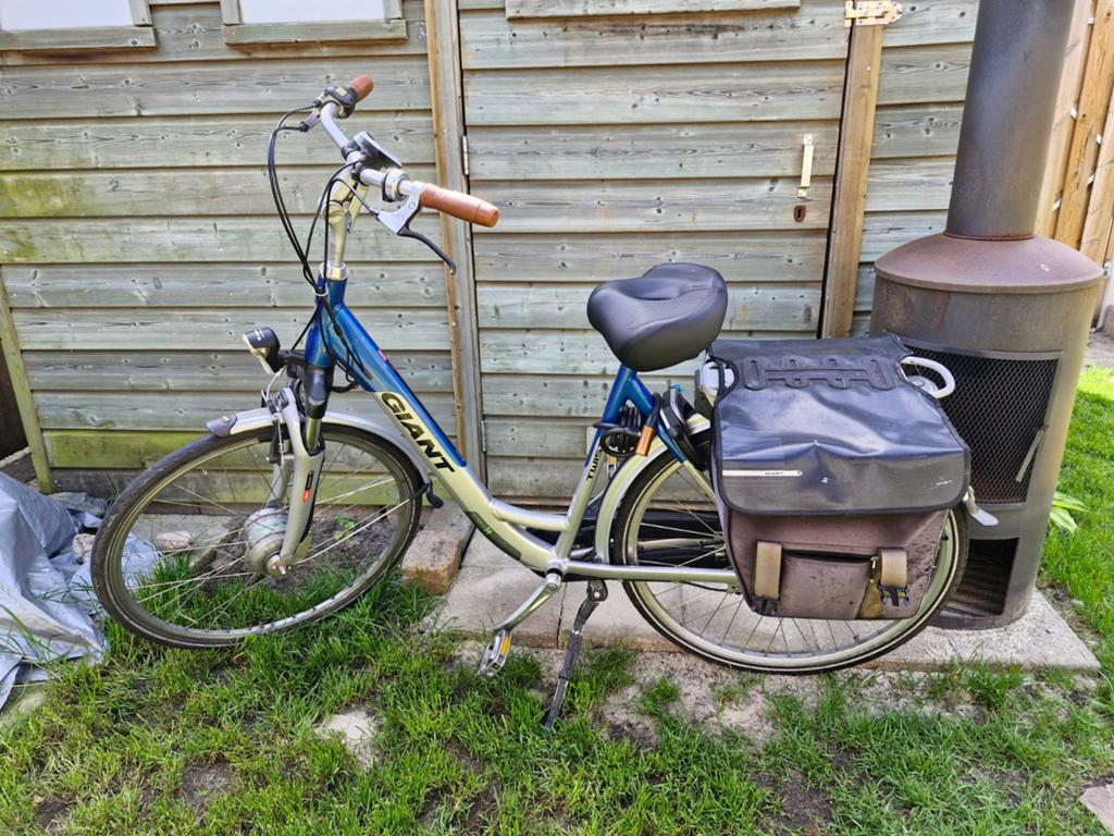 Giant twist go double elektrische fiets, 51 tot 55 cm, Ophalen, Gebruikt, Giant