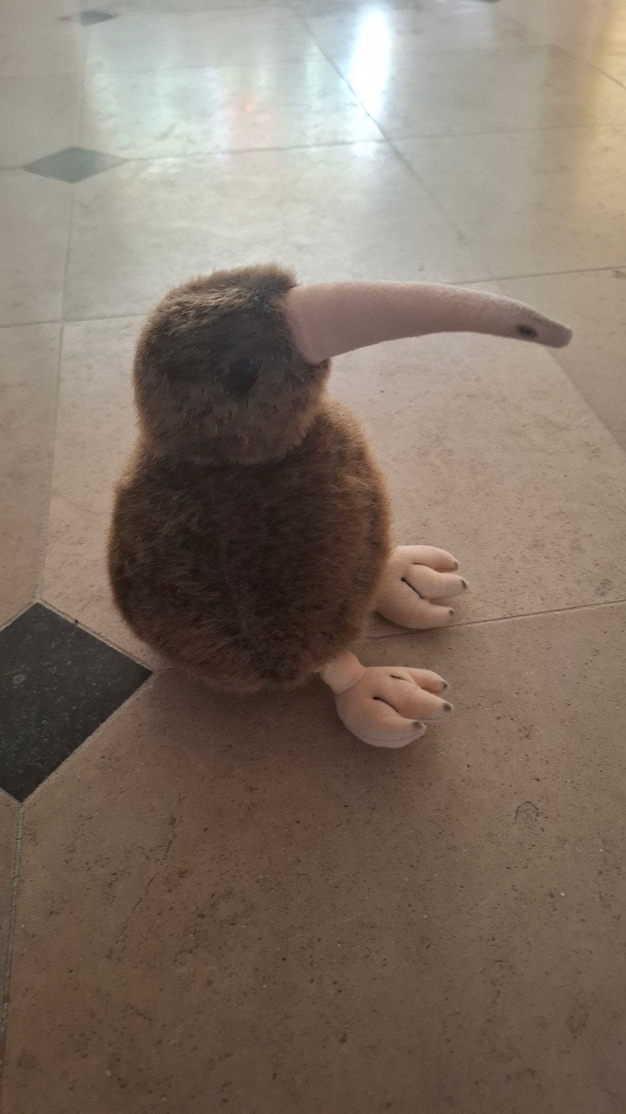 Kiwi vogel knuffel, Overige typen, Ophalen of Verzenden, Zo goed als nieuw, Middelgroot (20 tot 80 cm)