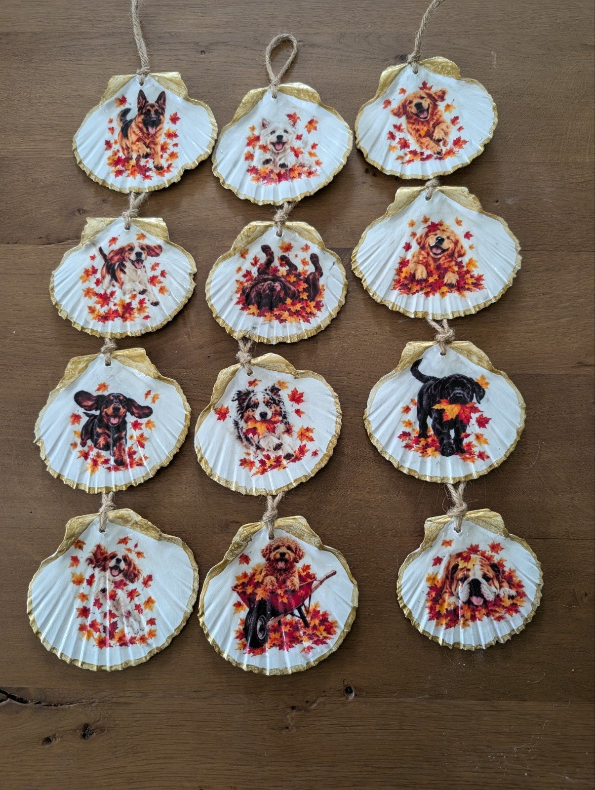 Jacobsschelpen met 11 verschillende soorten honden, Retrieve, Meerkleurig, Nieuw, Ophalen of Verzenden, Landelijk