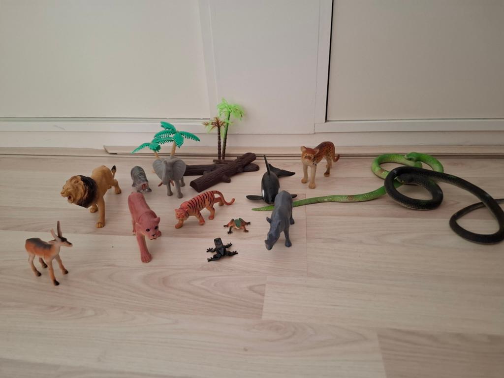 Dierentuin dieren, Ophalen