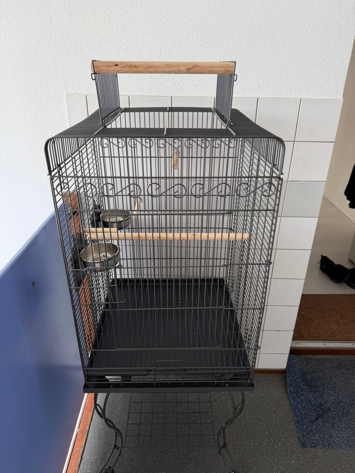 Vogel Kooi 1, Meerdere dieren, Parkiet