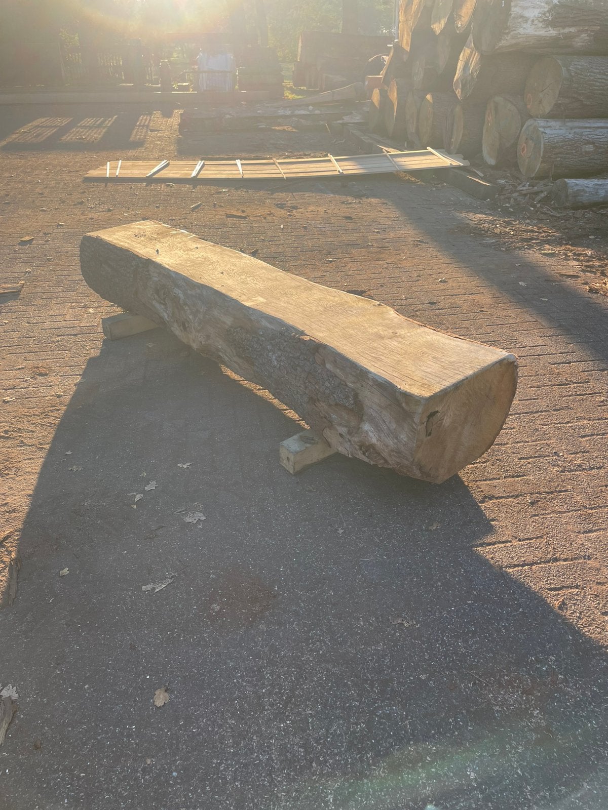 Boomstam bank, Ophalen, Eiken, Nieuw, 200 tot 250 cm