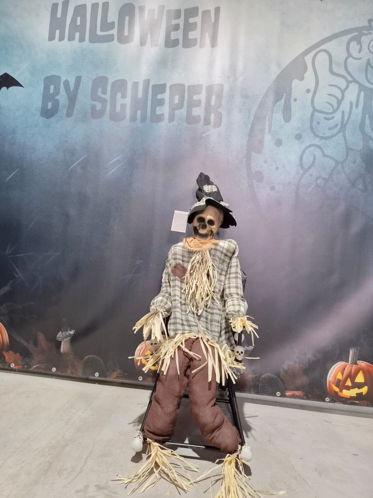 Halloween vogelverschrikker, Ophalen of Verzenden, Nieuw, Halloween of Griezel