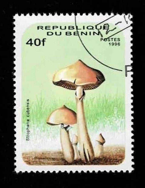 postzegel 849 Benin paddenstoel Mexicaanse Kaalkopje, Ophalen of Verzenden, Overige landen, Gestempeld