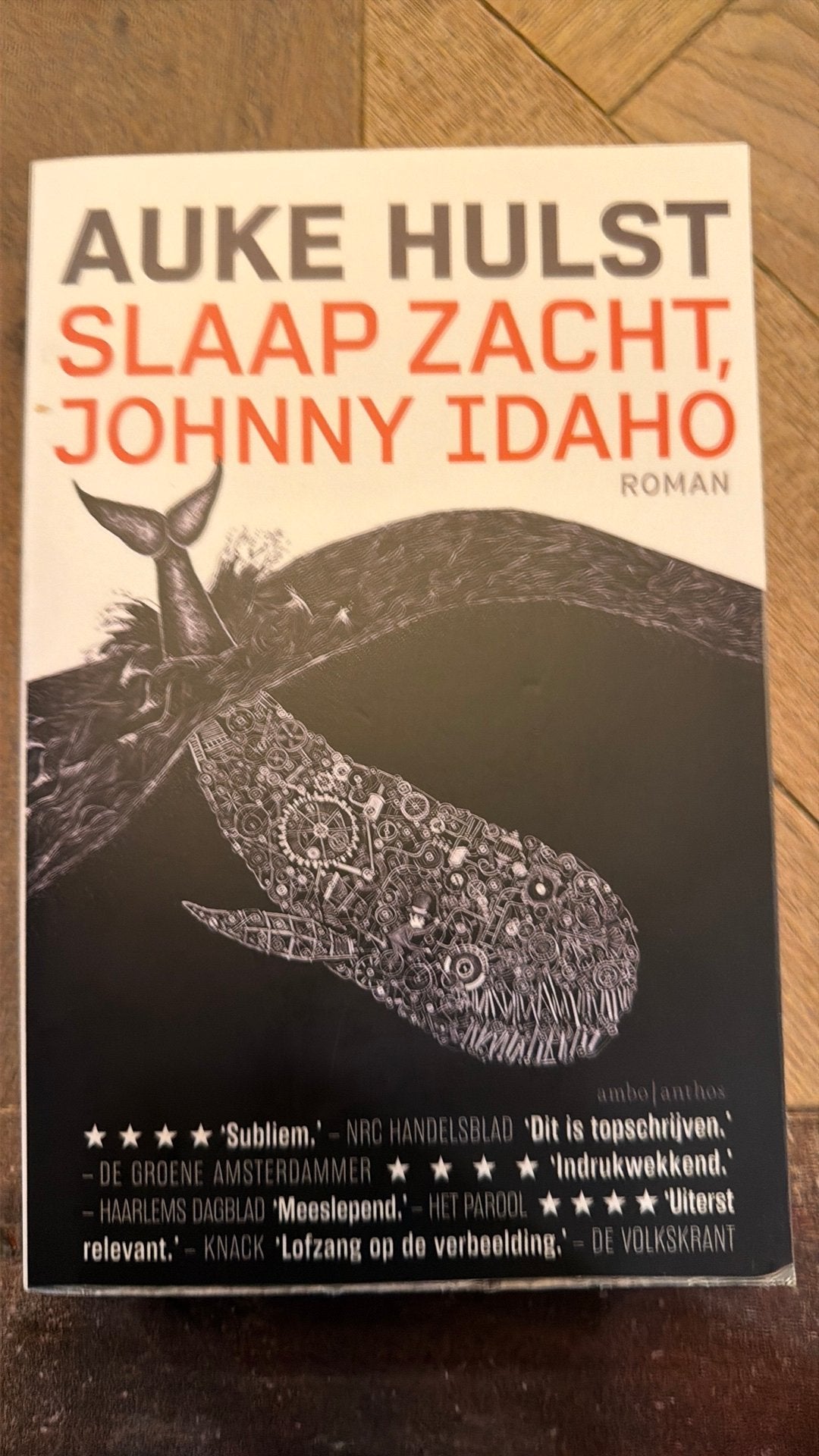 Auke Hulst - Slaap zacht, Johnny Idaho, Ophalen of Verzenden, Gelezen, Auke Hulst