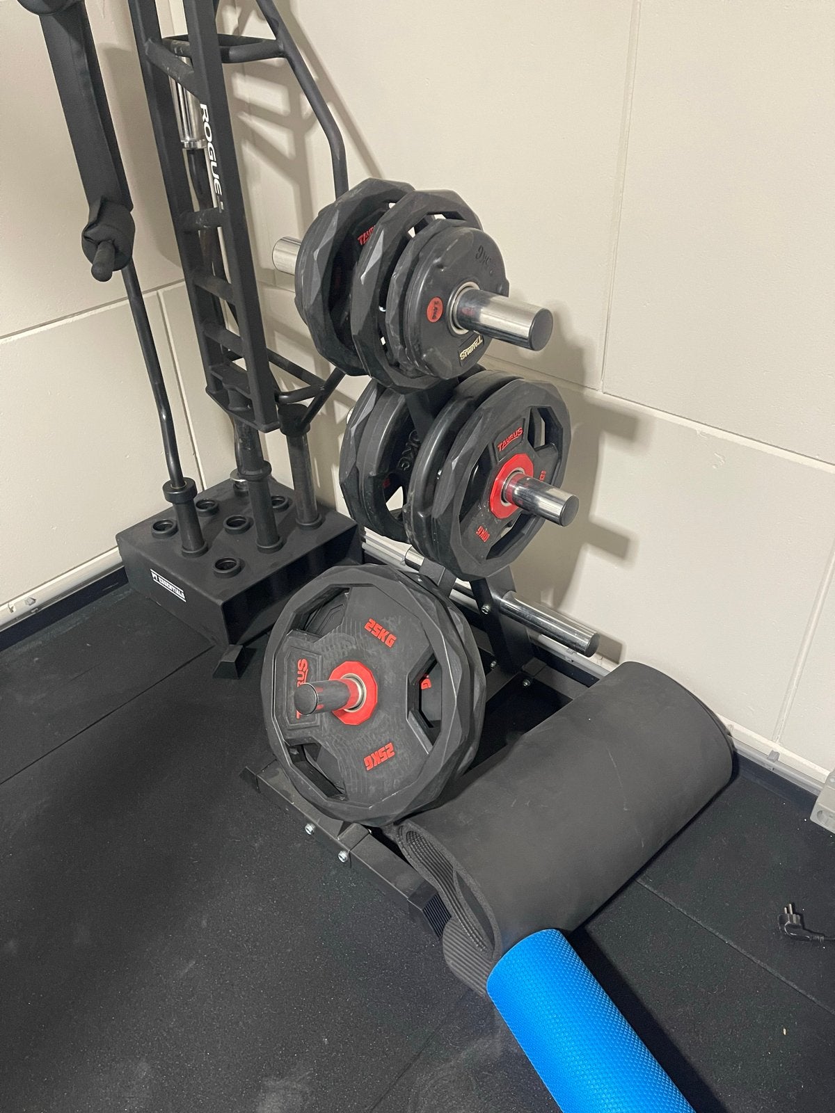 117,5kg Taurus Polyurethaan Halterschijven 50mm Pro, Sport en Fitness, Fitnessmaterialen, Ophalen, Gebruikt, Halterschijven