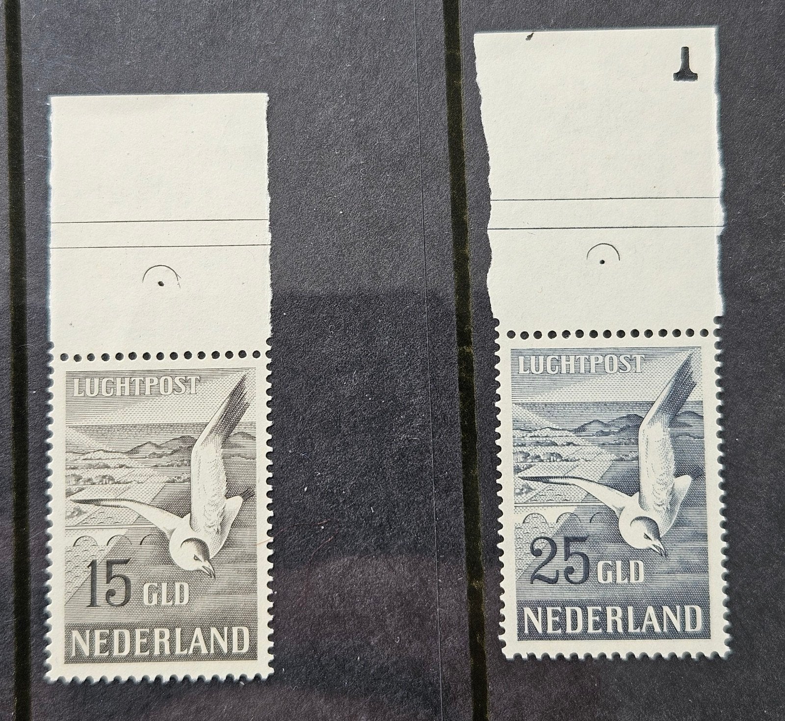 Luchtpost 1951 Meeuwen postfris met certificaat., Postzegels en Munten, Ophalen of Verzenden, Na 1940, Postfris