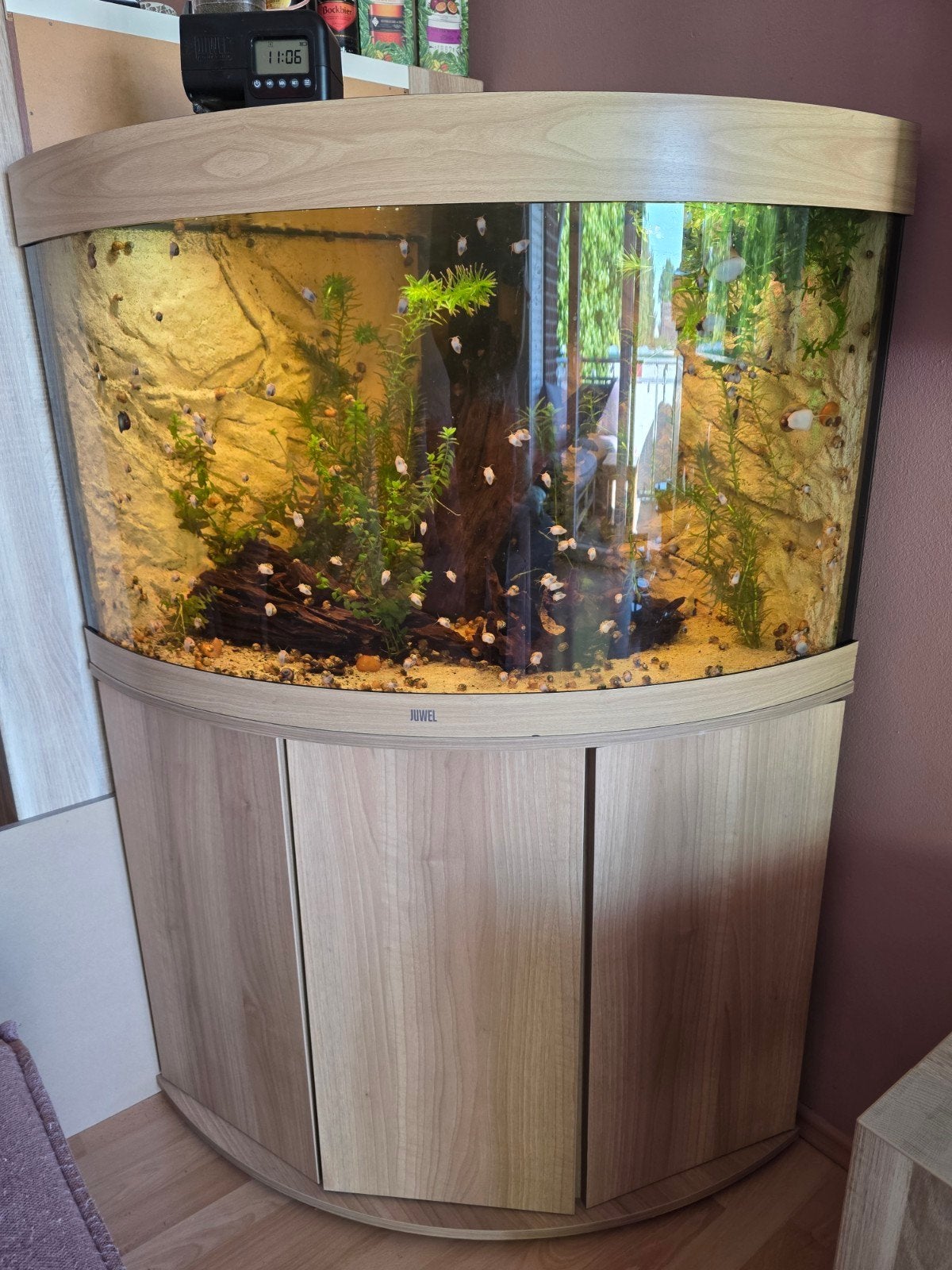 Hoek Aquarium Juwel trigon 190, Dieren en Toebehoren, Ophalen, Zo goed als nieuw, Leeg aquarium, Juwel