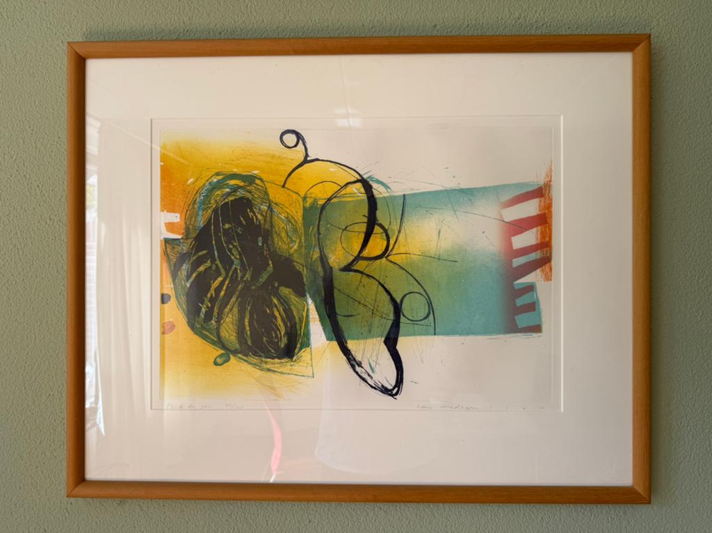Prachtige litho/ets van Hans Vredegoor, Ophalen