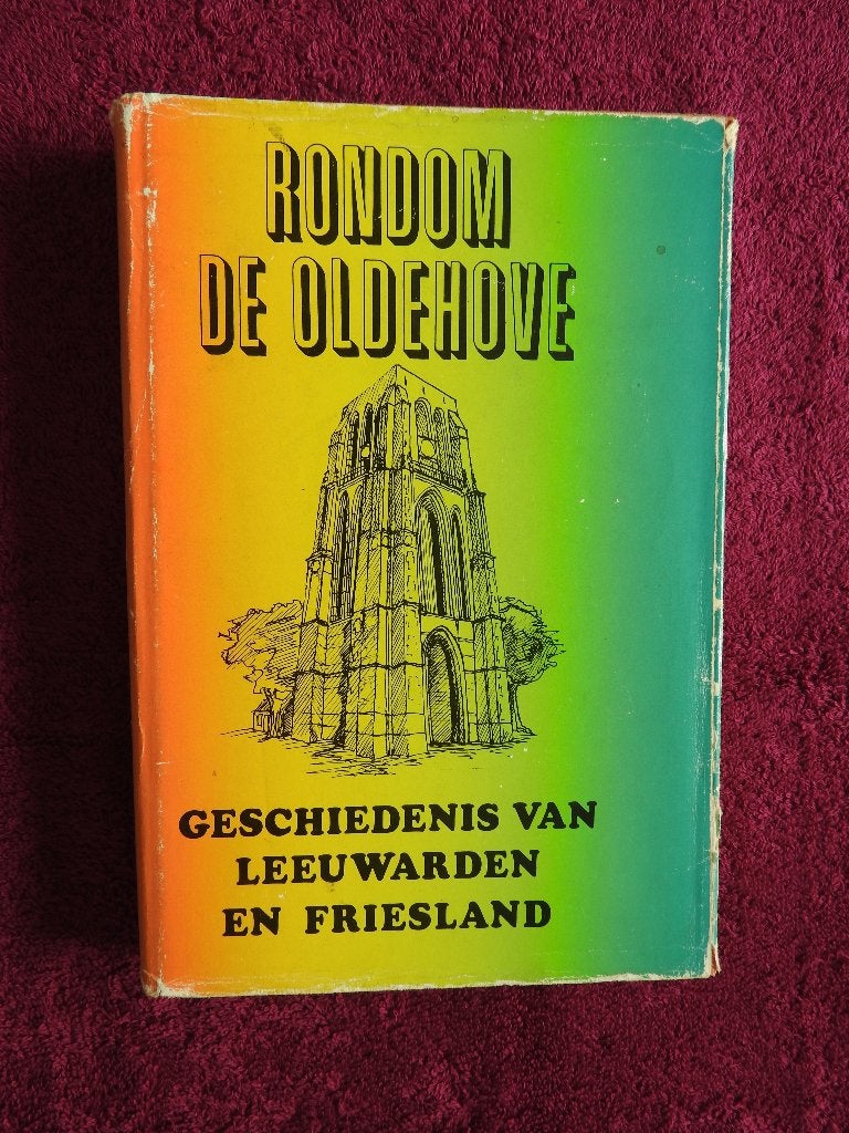Rondom de Oldehove -Geschiedenis van Leeuwarden en Friesland, Boeken, Geschiedenis | Stad en Regio, Ophalen of Verzenden, Gelezen
