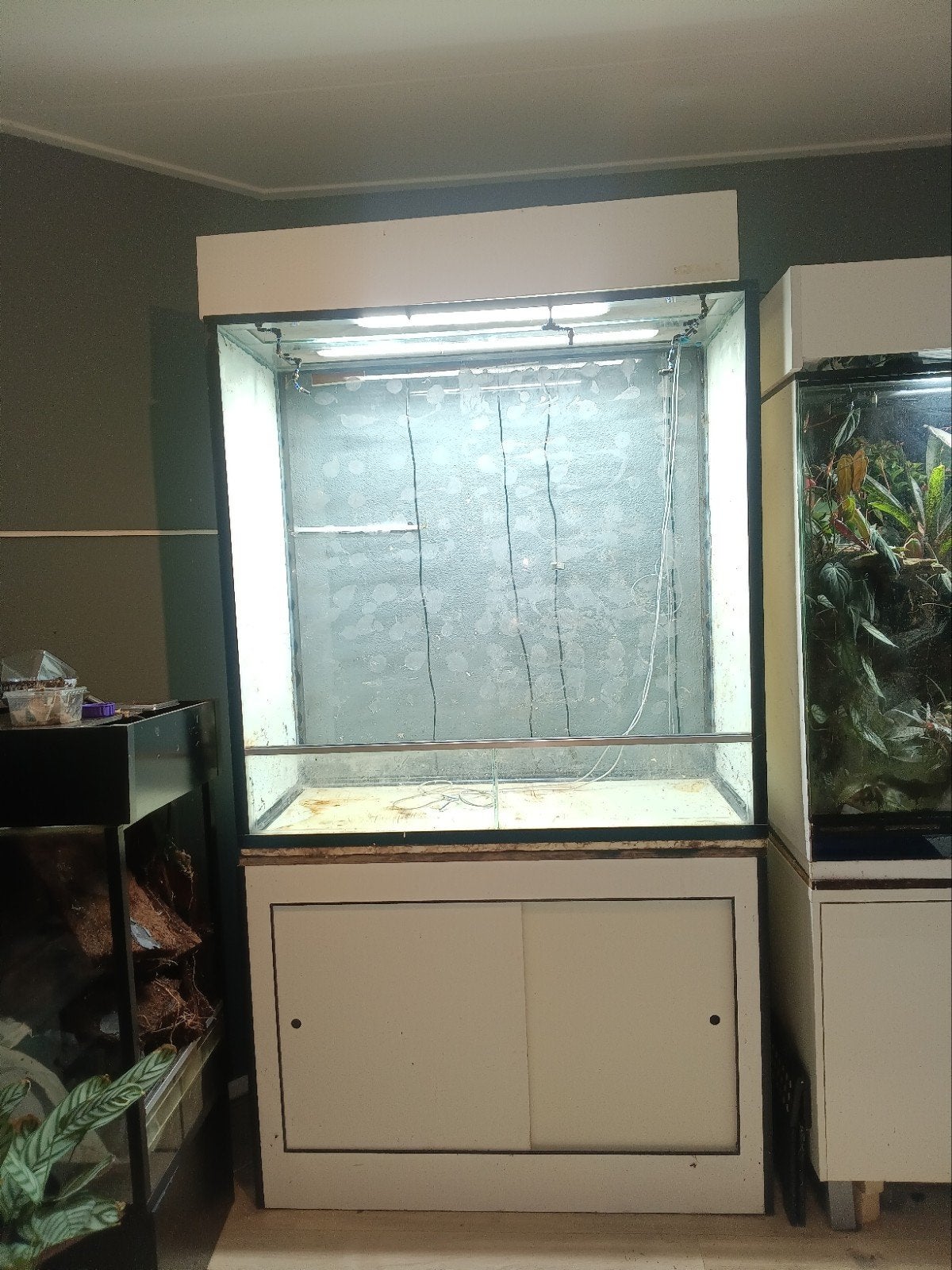 Terrarium, Ophalen, Inclusief deksel, Leeg aquarium