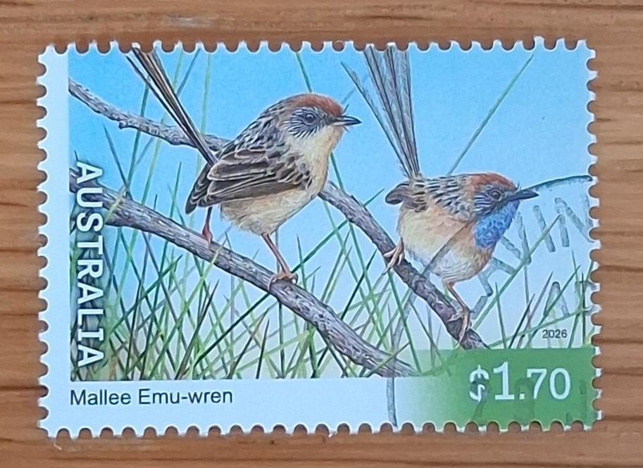 AUSTRALIË 2026: ENDANGERED BIRDS, Postzegels en Munten, Postzegels | Oceanië, Ophalen of Verzenden