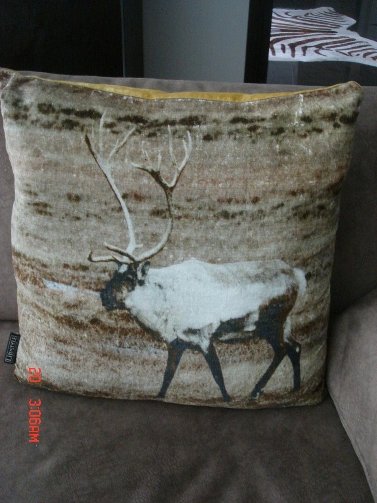 Sierkussen met eland bruin/goud 46X48, Overige merken, Met print, Vierkant, Ophalen of Verzenden