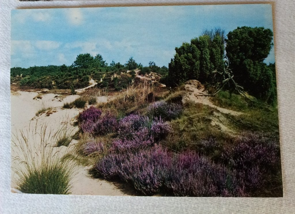 Ansichtkaart gelopen Friesland Groeten uit Boijl, Ophalen of Verzenden, 1980 tot heden, Gelopen, Friesland