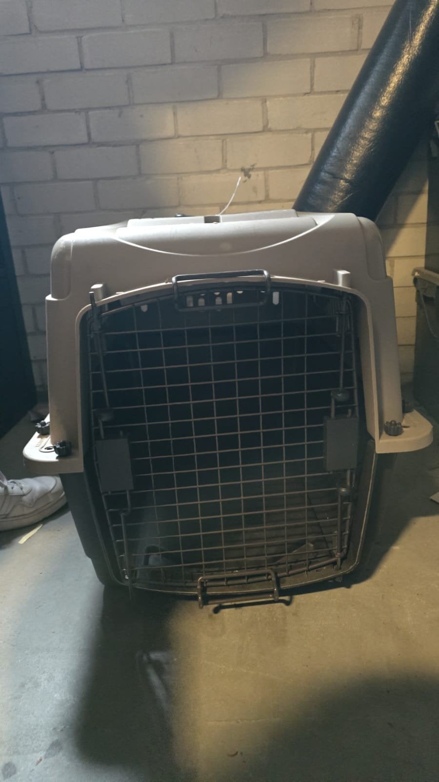 Reisbench voor de hond., Ophalen, Gebruikt