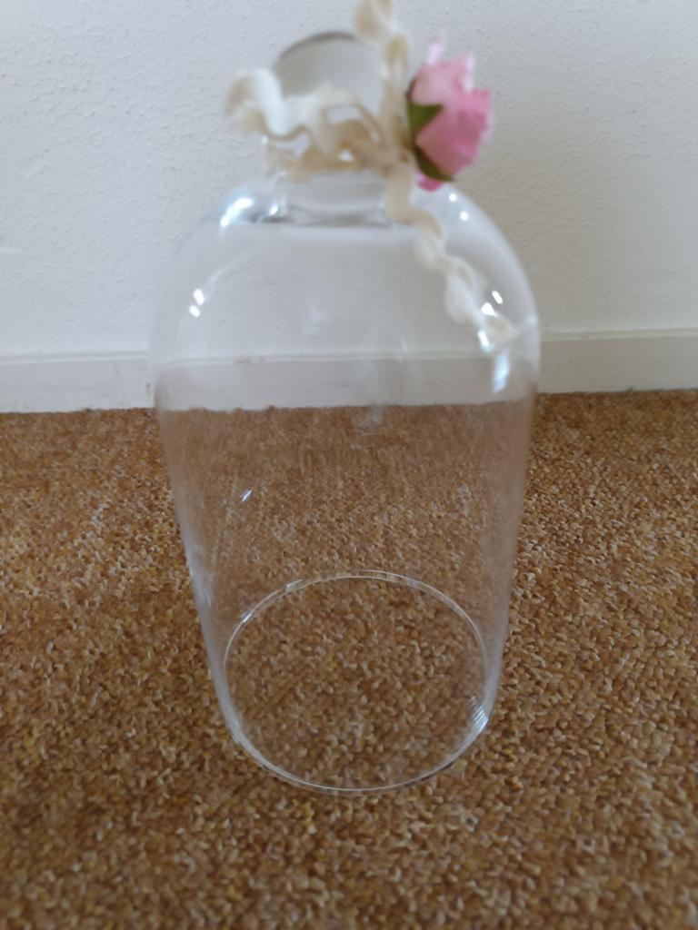 Stolp helder glas, Ophalen of Verzenden