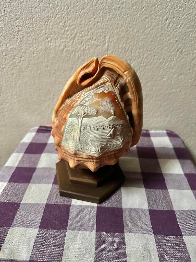 Camee schelp lamp ( moet aangesloten worden), Antiek en Kunst, Ophalen of Verzenden