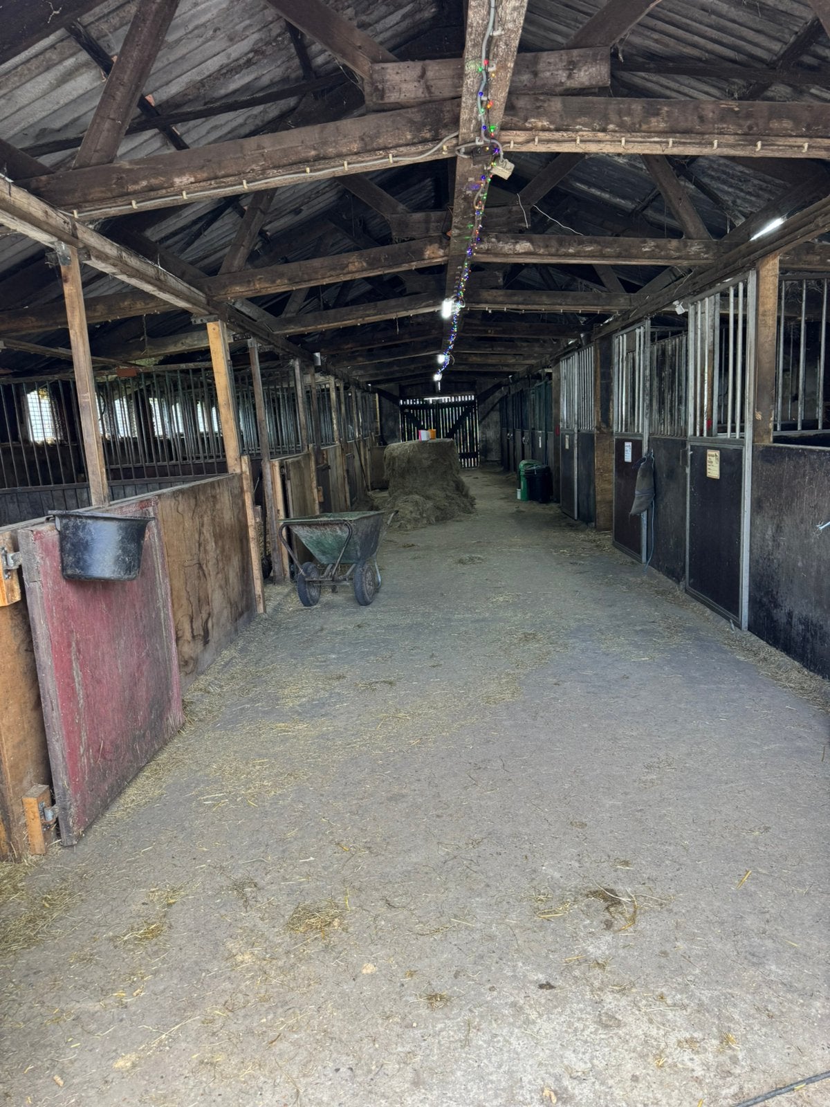 Paarden stalling aangeboden Oudeschip GR. Ook opfok hengsten, Dieren en Toebehoren, Stalling en Weidegang, Weidegang, 4 paarden of pony's of meer