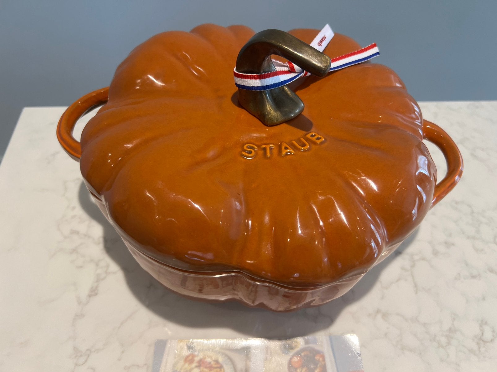 Nieuwe Staub pompoen 24 cm Kaneel., Met handvatten, Nieuw, Ophalen of Verzenden, Staub