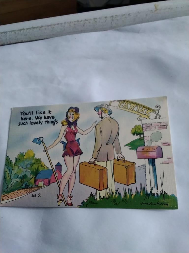 YOU'LL LIKE IT HERE. WE HAVE SUCH LOVELY THINGS, Ophalen of Verzenden, Voor 1920, Overige thema's