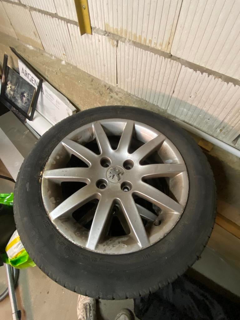 Peugeot velgen 205/55/r16 91H, Ophalen