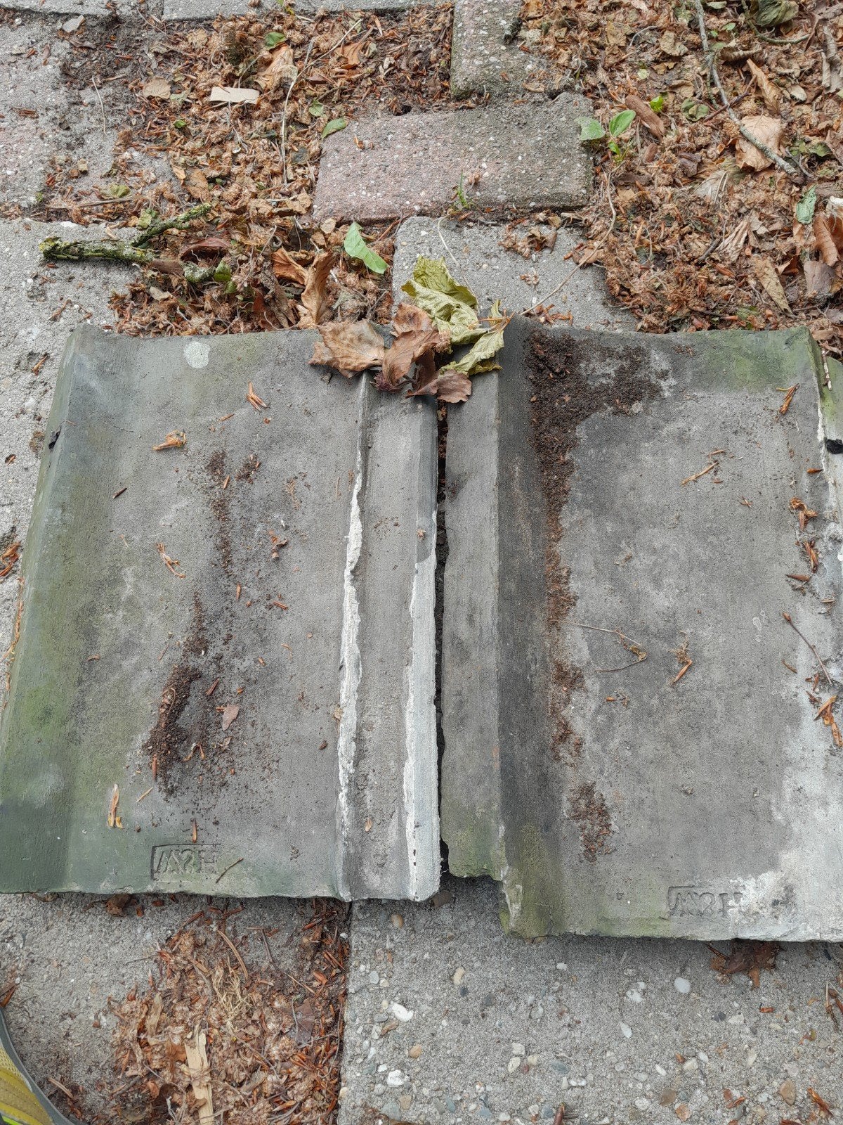 Platte Friese klassieke puntdakpan, Ophalen, Gebruikt, Steen of Klei, 15 m² of meer