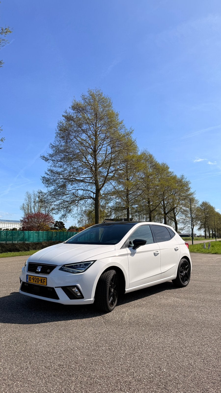 Seat Ibiza 1.0 TSI 116PK 2020 Wit, Voorwielaandrijving, Stof, 580 kg, 116 pk