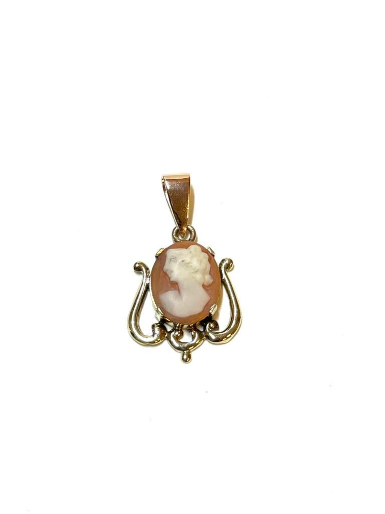 14k gouden hanger met een camee, Overige voorstellingen, -, -, Ophalen of Verzenden