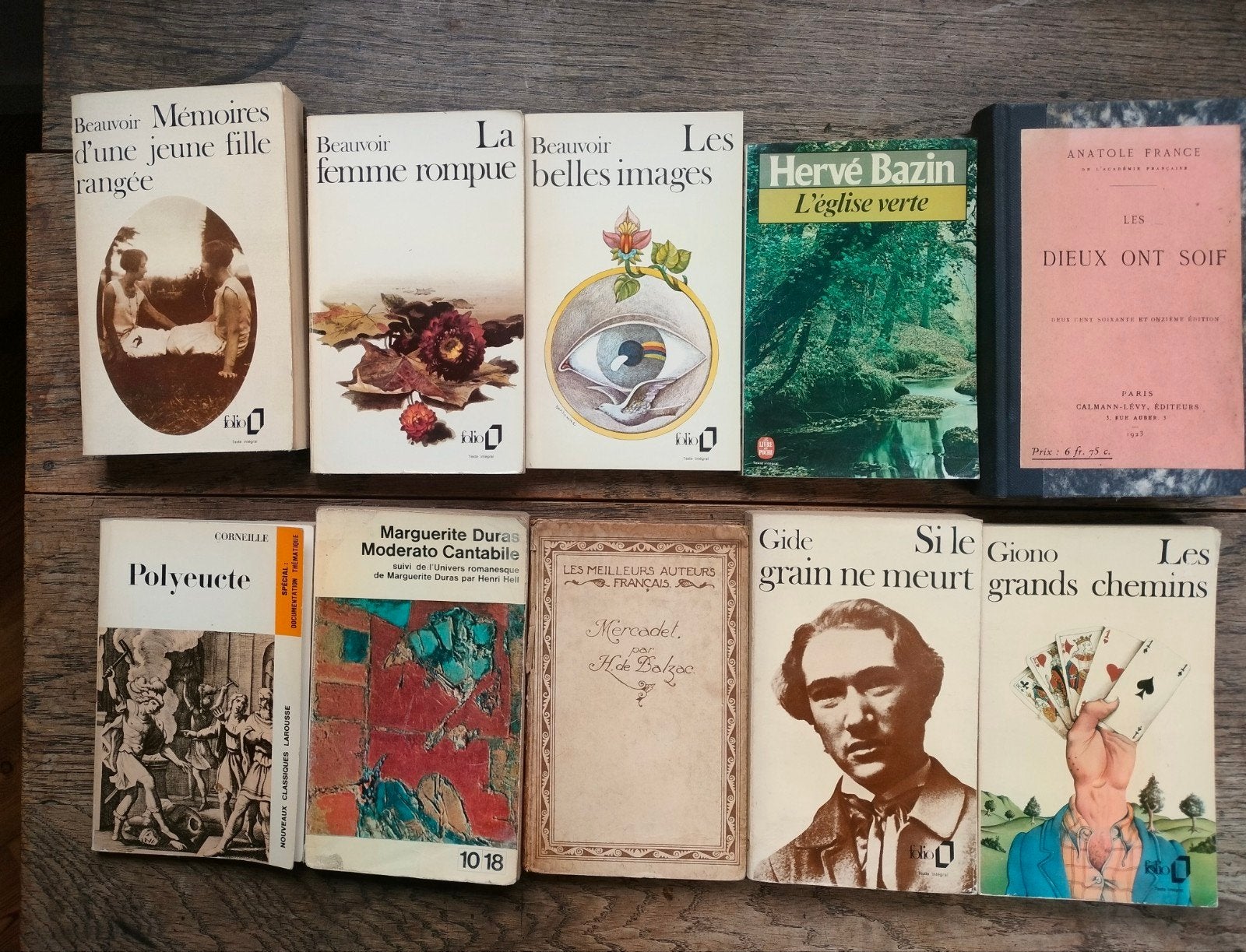 Franse literatuur: Klassieke boeken van Apollinaire tot Zola, Ophalen of Verzenden, Gelezen