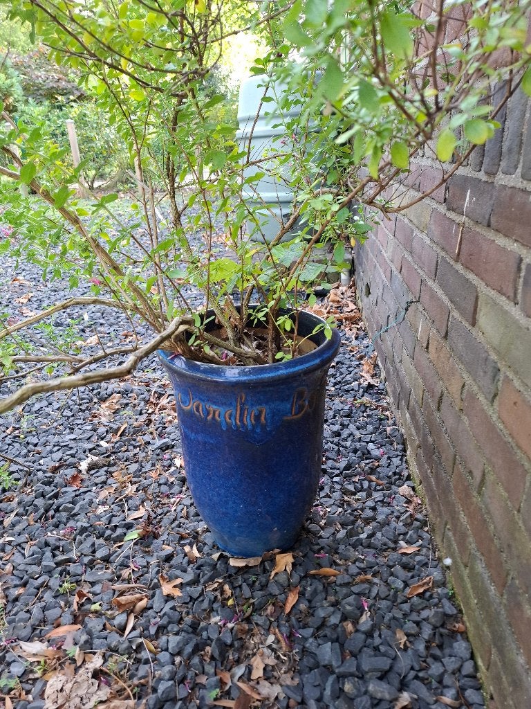 bloempot, Tuin en Terras, Rond, Zo goed als nieuw, Binnen, Aardewerk