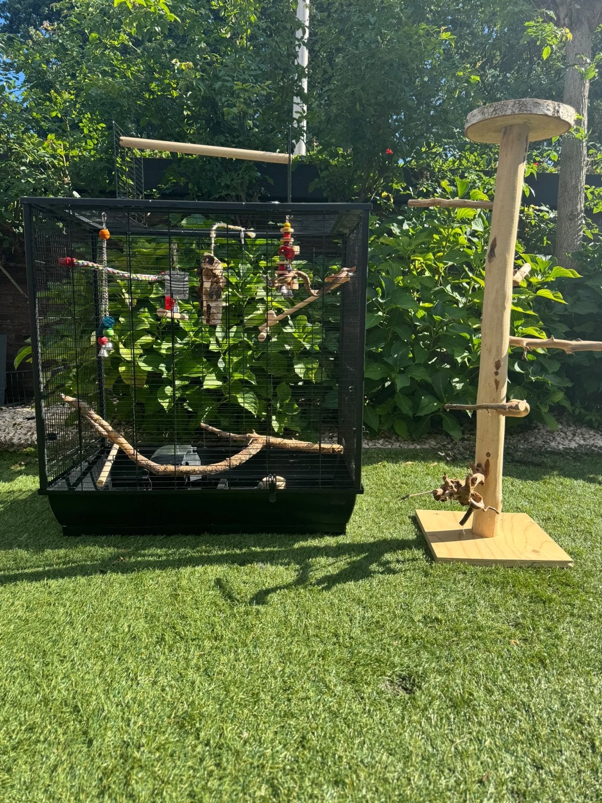 Complete Ruime Vogelkooi + Vogelboom met voederplateau, Dieren en Toebehoren, Ophalen, Zo goed als nieuw, Vogelkooi