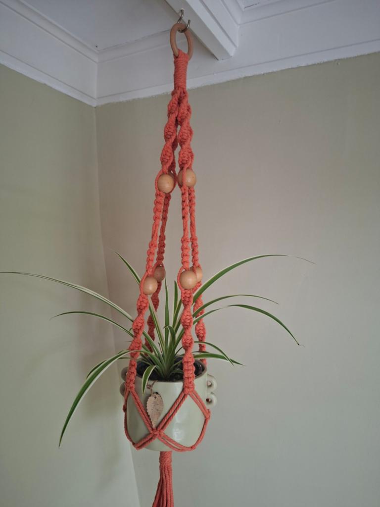 Plantenhanger inclusief pot en plant, Ophalen, Halfschaduw, Minder dan 100 cm