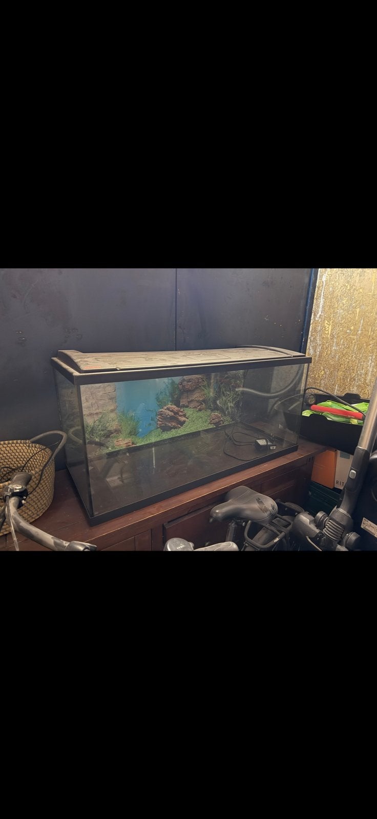 Aquarium met licht incl benodigdheden, Dieren en Toebehoren, Vissen | Aquaria en Toebehoren, Ophalen, Zo goed als nieuw, Leeg aquarium