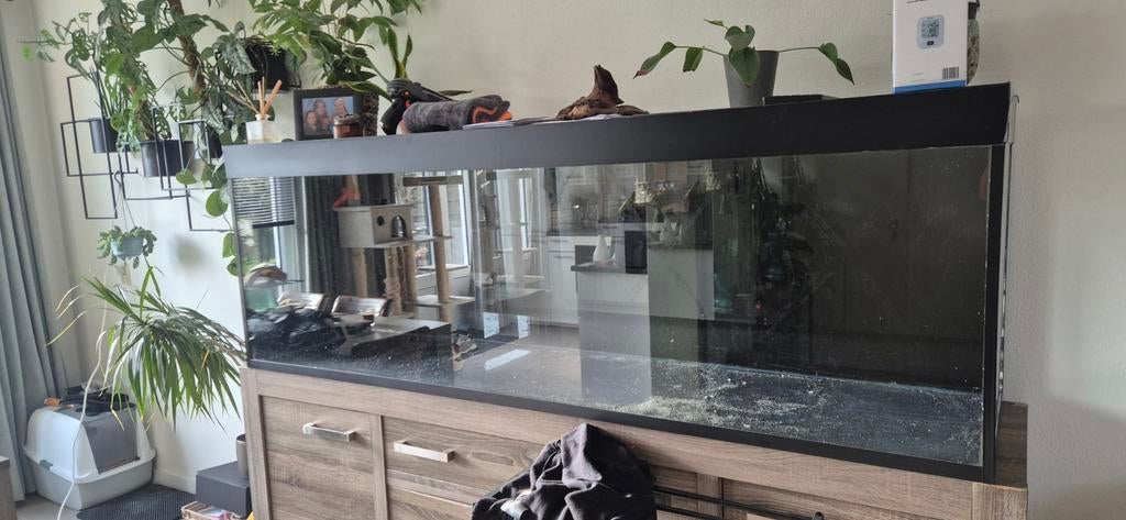 Leeg aquarium van 700L, Ophalen, Inclusief toebehoren, Gebruikt, Leeg aquarium