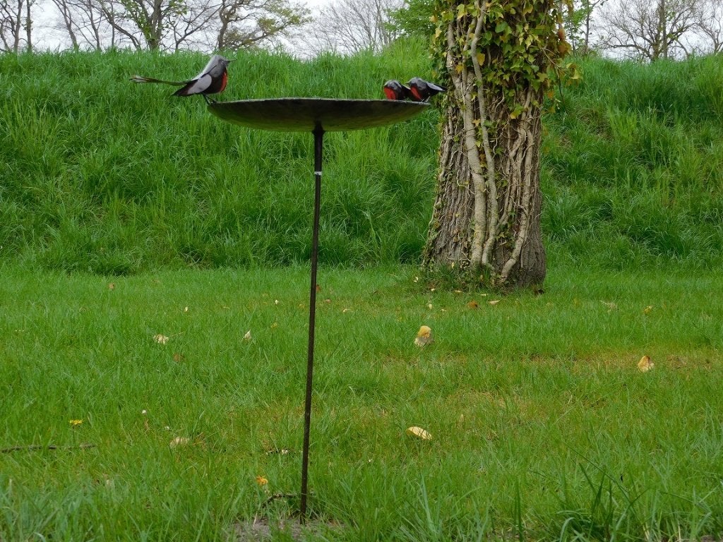 Vogelbad - Zwart met Vogeltjes 2 om 1 - Tuinsteker - Metaal, ., Nieuw, Ophalen of Verzenden, .