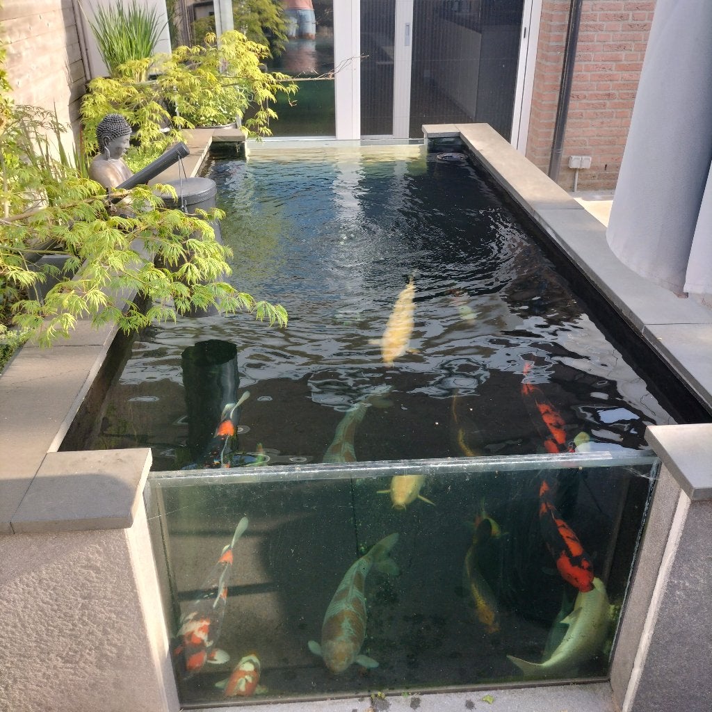 Vijver ramen, Ophalen, Gebruikt