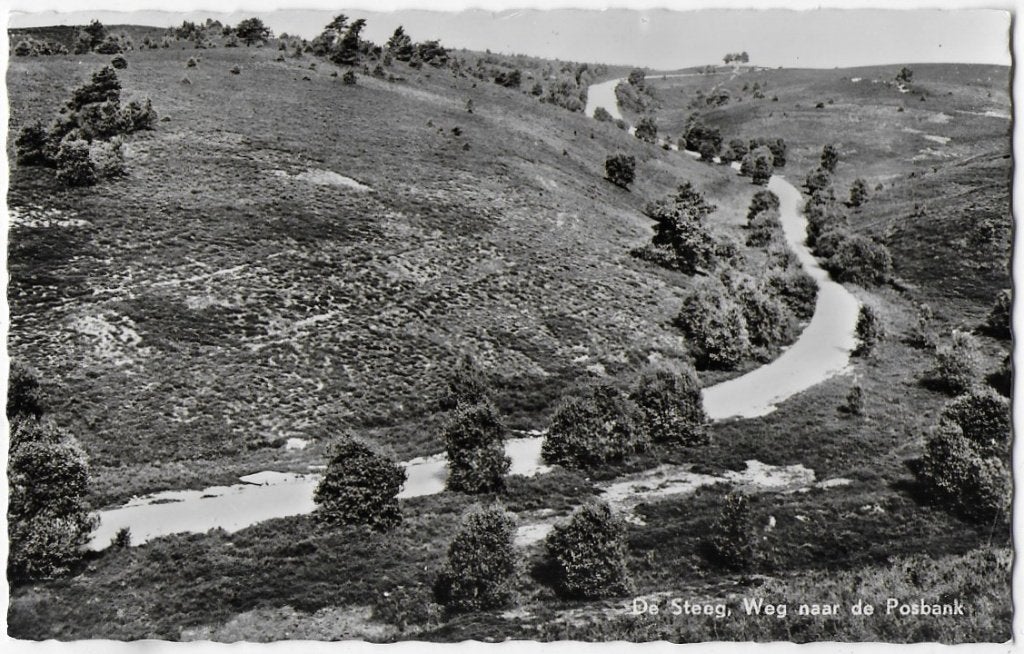 De Steeg Oude Gelopen Ansichtkaart ( B1664 ), Ophalen of Verzenden, 1940 tot 1960, Gelopen, Gelderland