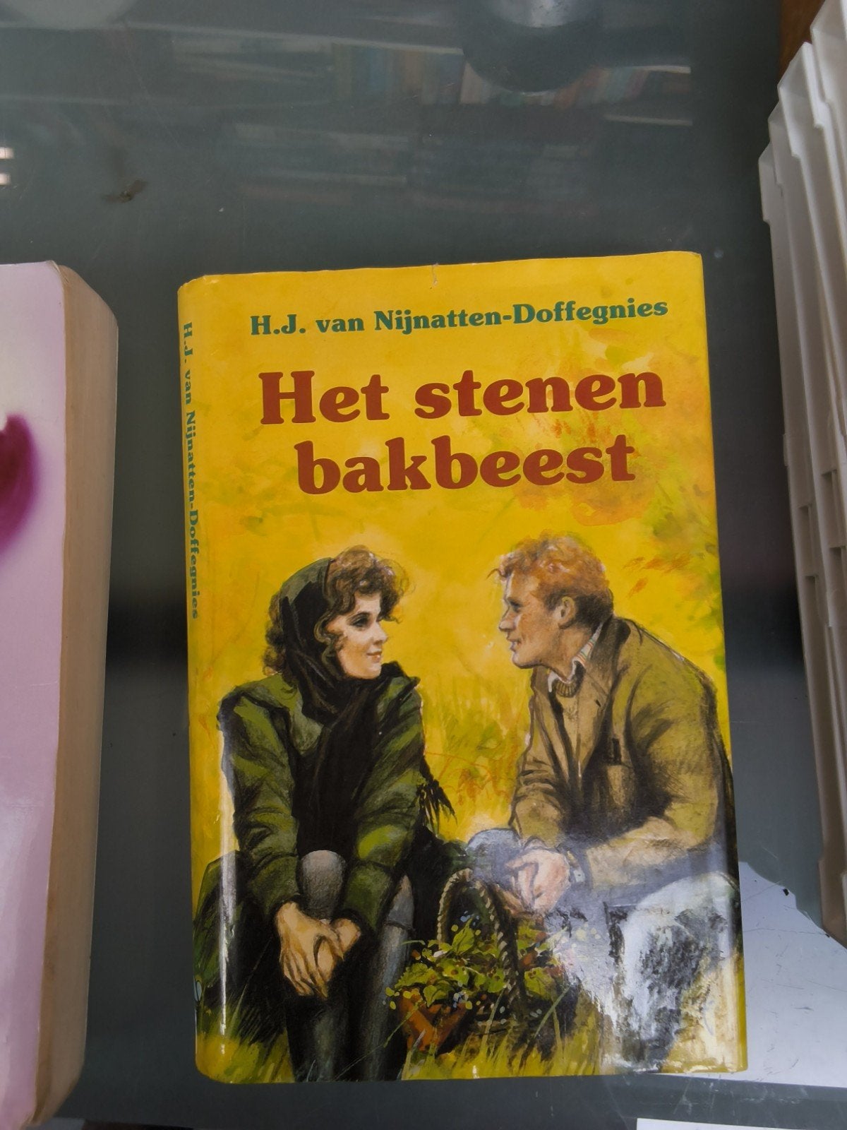 Diverse boeken: Romans, thrillers en meer, Ophalen of Verzenden, Gelezen, Diverse auteurs