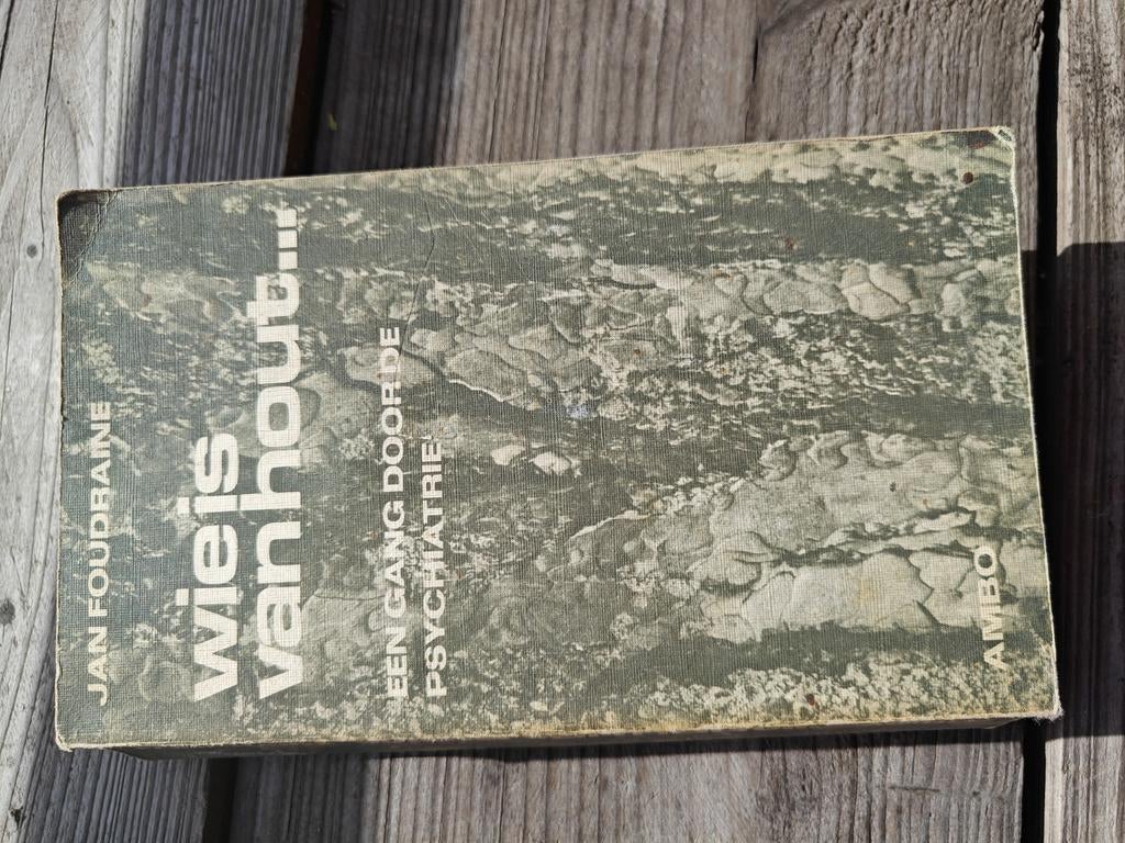 Wiels van Hout - Een gang door de psychiatrie, Ophalen of Verzenden