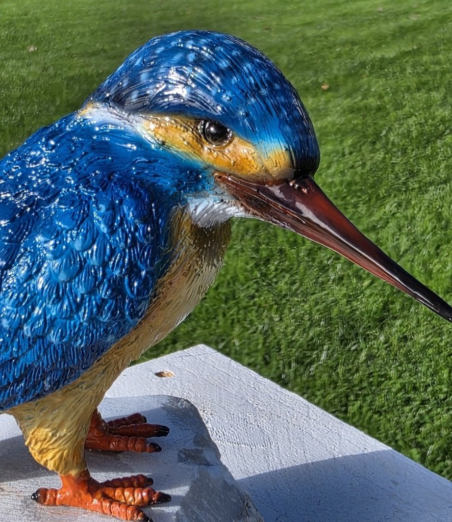 Bronzen IJSVOGEL / brons /BRONZEN TUINBEELD / GEKLEURD, Tuin en Terras, Tuinbeelden, Nieuw, Info@huisentuindecoratiemarie.nl, Huis en tuin decoratie marie