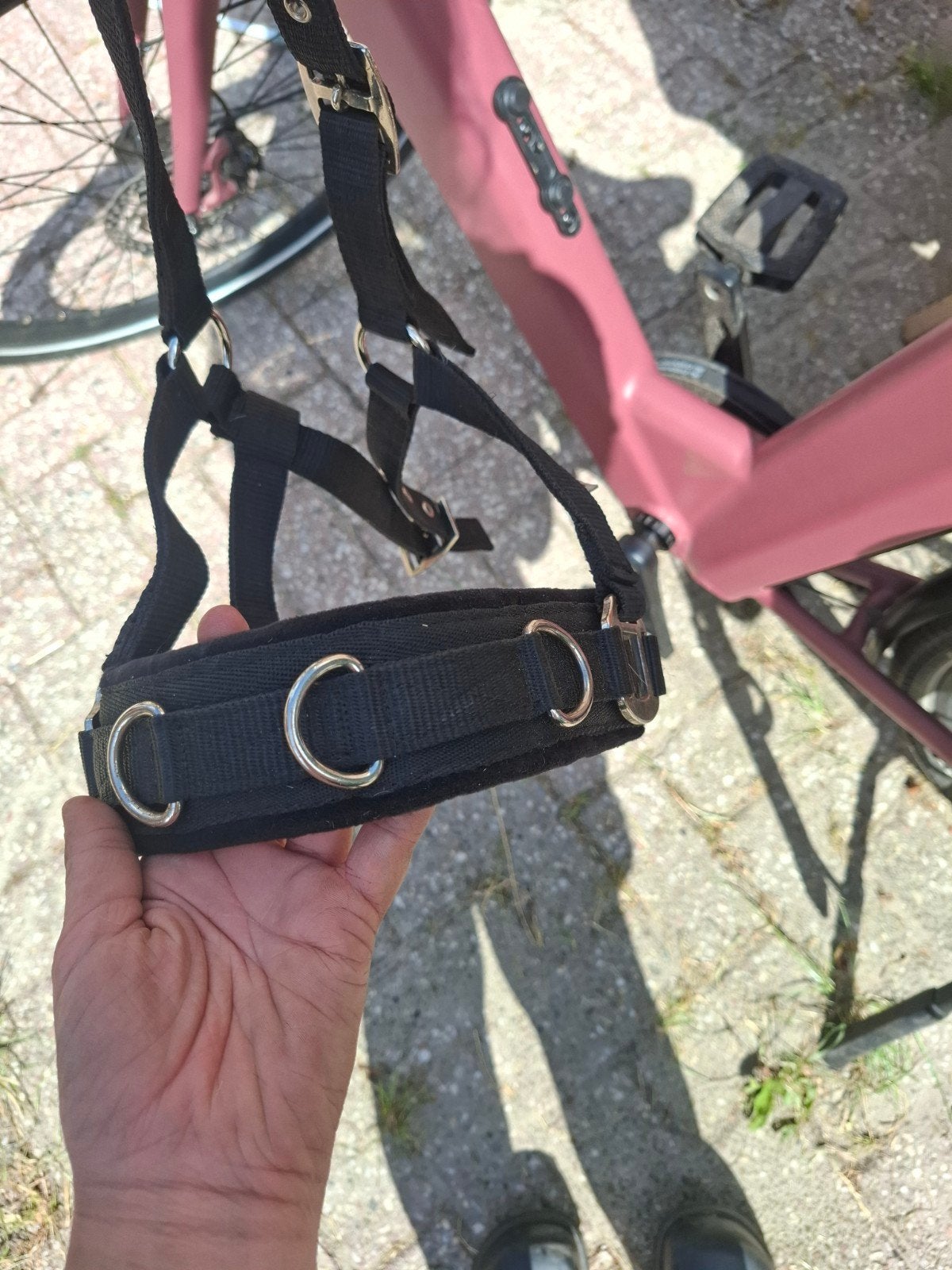 Halster maat pony, Ophalen, Halster, Pony