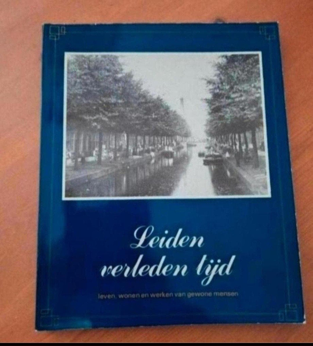 Leiden verleden tijd - Geschiedenis van Leiden, Ophalen of Verzenden, 20e eeuw of later, Zo goed als nieuw, Onbekend