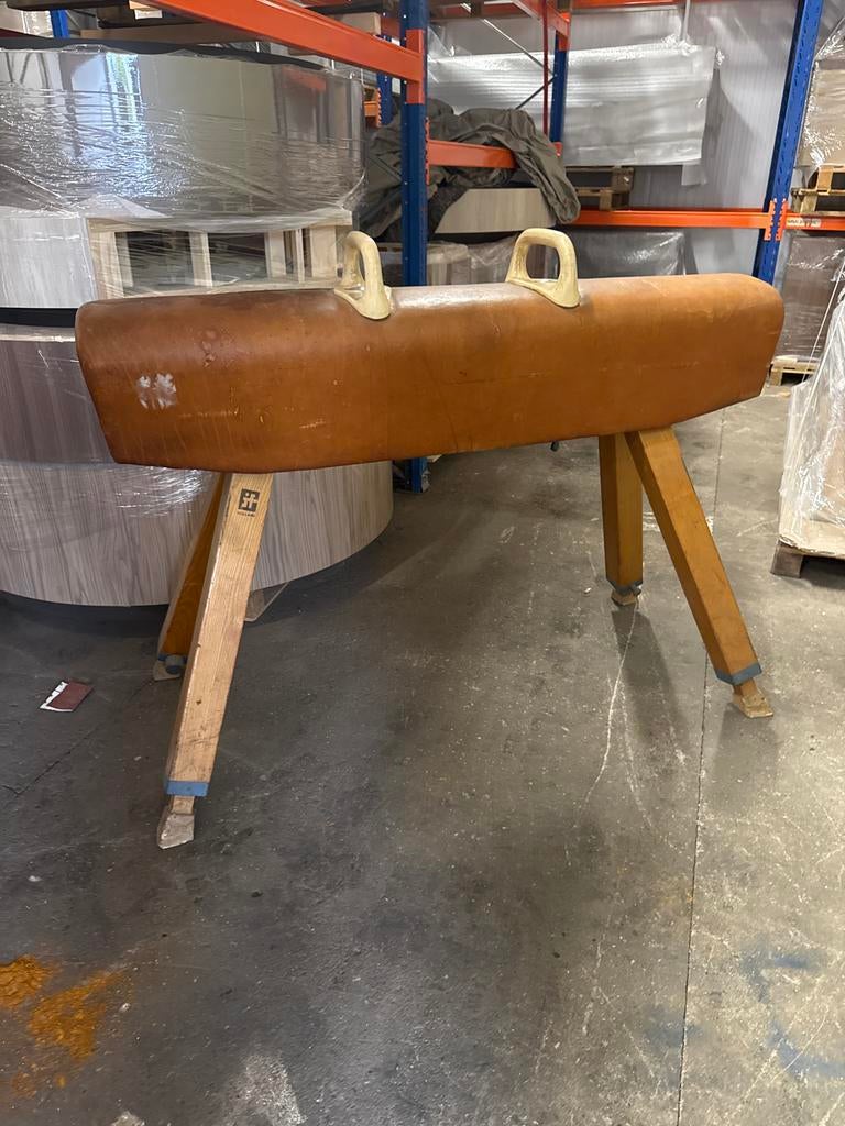 Vintage Turnpaard met Handvatten - Decoratief of Sportief, Ophalen, Gebruikt